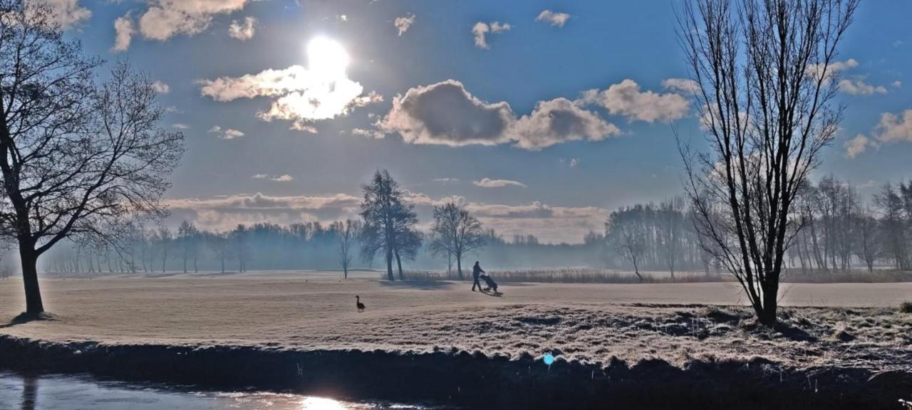 Villa Prinsenhof # Vijfentwintig Берген Екстериор снимка